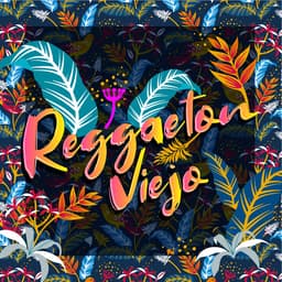 Sexo Seguro
