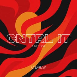 CNTRL IT